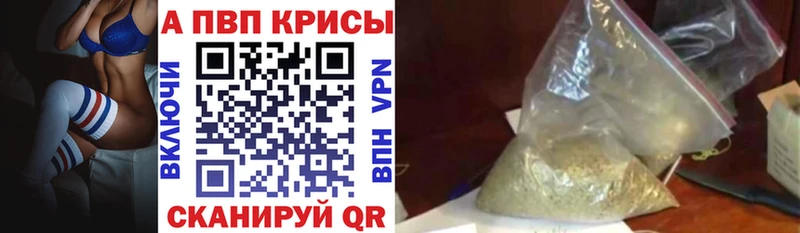 Купить где  Кизел  Alfa_PVP СК КРИС 