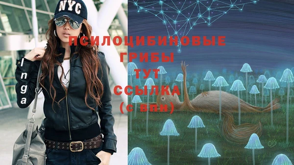 мдпв Касимов