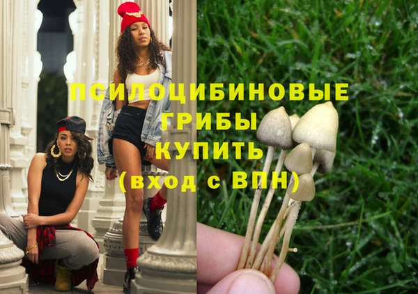 спиды Карпинск